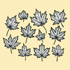 Happy Thanksgiving Day. Festive design with autumn maple leaves, decorative elements