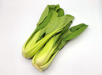 チンゲンサイ・青梗菜・チンゲン菜・ちんげんさい／bok choy／청경채
