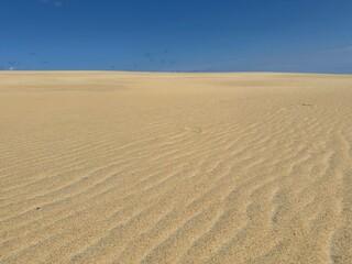 Sand dunes at Jockey’s Ridge State Park, NC
