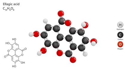 Molecule: Ellagic Acid. Molecular structure. Formula: C14H6O8. Chemical model: Ball and stick. White background. 3D illustration.