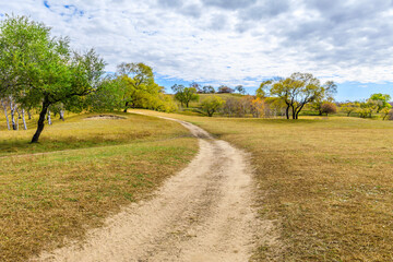 Countryside sand road and beautiful grassland with trees nature landscape in autumn. Road trip.