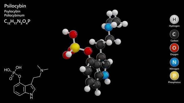 Psilocybin. Hallucinogen. Animated 3D model of a molecule. Molecular formula: C12H17N2O4P . Chemical model: Ball and sticks. Black background. 3D rendering. Seamless loop.