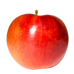 Red apple on a white background.