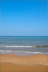 Yorkshire Terrier dog. Dog running by the sea. Cute dog running on the beach. Dog on the seashore.
