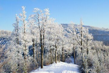wspaniały zimowy krajobraz na szczycie góry