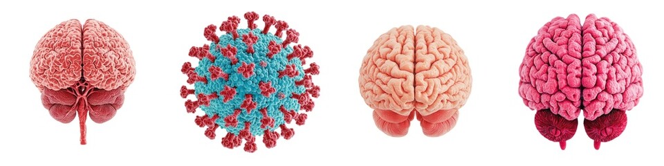 Fototapeta premium 3D Virus Disease Concept. A detailed illustration showcasing a brain and virus, highlighting connections between neuroscience and microbiology.