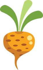 Simple vector illustration of a single yellow beet growing with green leaves on a white background