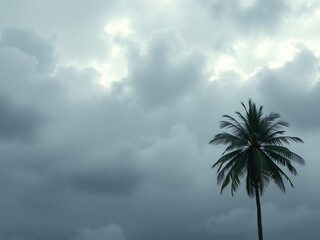 Fototapeta premium Dense cloud cover with a lone palm tree in the foreground, rugged landscape, isolated object