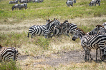 Simiyu is an administrative region of Tanzania. It was created in March 2012, being until then part of the Shinyanga Region. Its capital is the city of Bariadi.