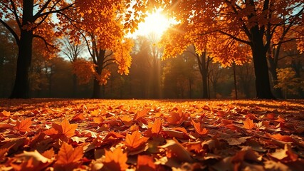 Empty sunny orange background with large fallen leaves scattered across the ground, sunlit landscape, earthy tones