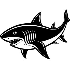 illustration of shark