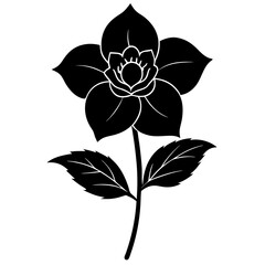 black and white flower