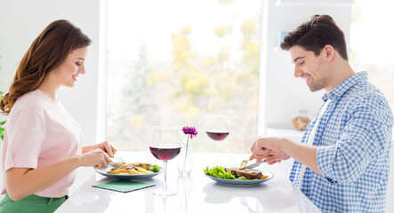 Profile side view portrait of his he her she two nice attractive cheerful spouses spending idyllic day enjoying eating meal dinner tasty yummy meat dish in light white interior kitchen house apartment