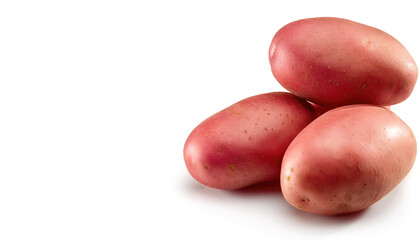 Red Thumb potato is a fingerling potato with red skin and creamy pink flesh are ideal for roasting whole and serving alongside a gourmet entree or salad. Isolated on white background with copy space