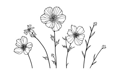 Hand drawn various wild flowers isolated on white background