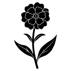 black and white flower