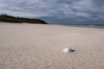 SEA COAST - A beautiful wide beach under a picturesquely cloudy sky