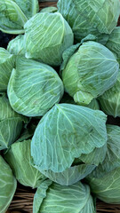 fresh cabbage in the market