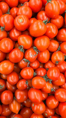 Close up red Cherry Tomatoes