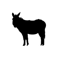 Donkey Illustration
