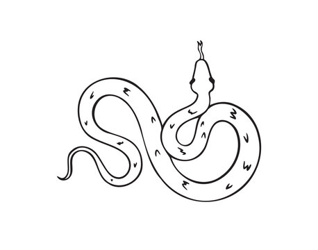 Hand drawn doodle snake top view icon. Outline drawing isolated snake on white background.