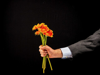 Man hand holding red and yellow colorful germine flower bouquet, dark background. No face, model...