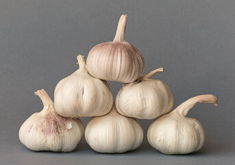 Garlics on grey background.
