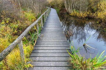 Wooden boardwalk through a serene autumn wetland with vibrant foliage and calm water reflections.