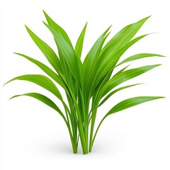 Obraz premium Vibrant Green Grass Leaves Macro Shot on White Background