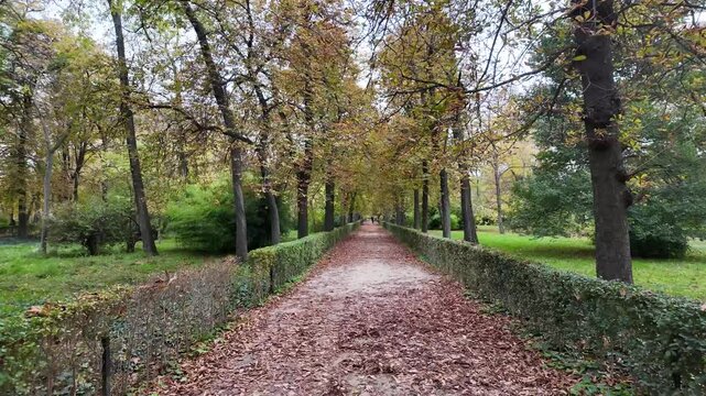 Strolling through the colorful autumn gardens of Retiro Park in Madrid, surrounded by nature.
