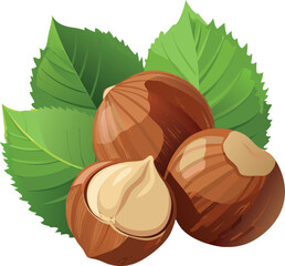 Hazelnuts with leaves showing the inside of a hazelnut