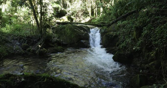 Small wild mountain river Rio Savegre. Stunning landscape of wilderness and pure nature. San Gerardo de Dota, Costa Rica.