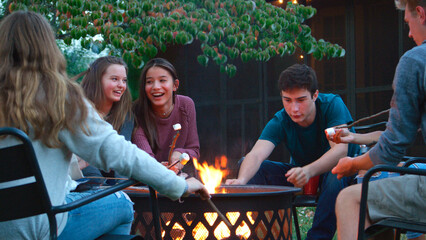 Group Of Teenage Friends Outdoors At Party Toasting Marshmallows Over Fire Pit