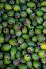 Vertical photo of green ripe fresh juicy raw exotic feijoa fruit on farm street market stall in Georgian city of Tbilisi.. Grocery store, fruits. Vegetable shop. Concept of small business. Copy space