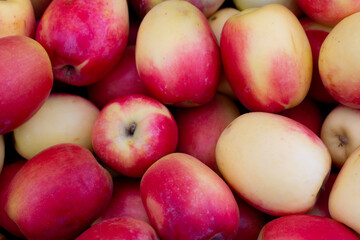 Harvest season in Georgia. Top view. Juicy sweet raw ripe red apple on fruit store stall. Concept of buying farm product at street market. Healthy food. Vegetable shop in Georgian city of Tbilisi