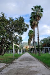 Fototapeta premium PARCO DEL MERCATELLO,SALERNO,ITALIA,20 NOVEBRE 2024.