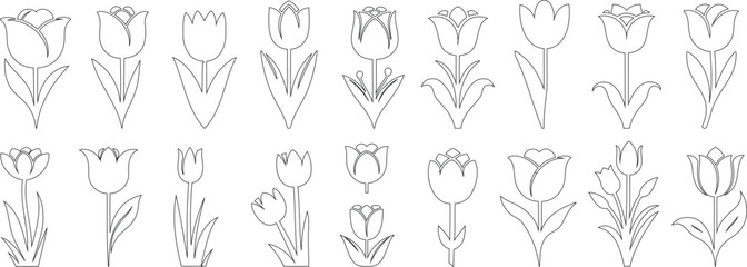 Tulip flower line icon set, minimalist tulip illustrations, floral vector design, outline tulips, decorative botanical drawings for patterns, greeting cards, prints, and nature theme designs