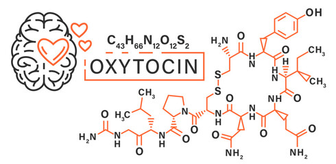 Oxytocin character in outline style. Happy hormone molecule.