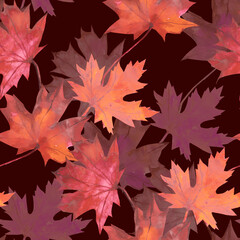 Autumn Leaves Pattern seamless. Motives on white and color background.