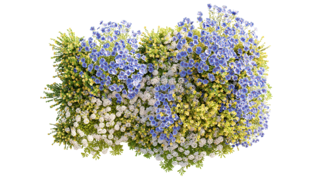 Top view group of Evergreen colorful flowers and grass field in nature with isolated on transparent background