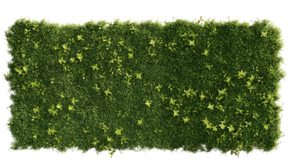 vertical gardening in a home. 3d rendering of a green wall