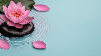 Serene Pink Water Lily Blossom on Smooth Stone Spa Relaxation