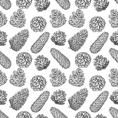 Line art conifer cones pattern. Black and white graphic outline illustration, wrap paper