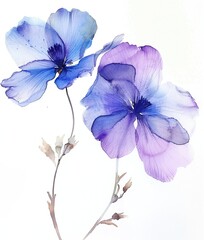Delicate blue flowers painted on a white background