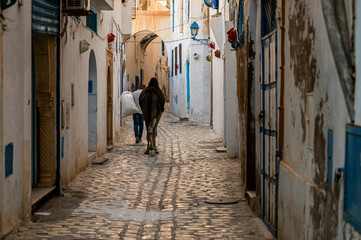 Kairouan, Tunisia - November 05, 2024: Narrow street of the medina in Kairouan.