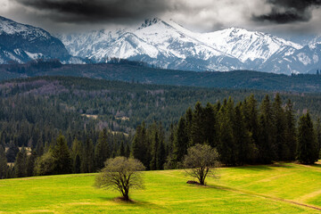 Widok Na Tatry z Łapszanki 