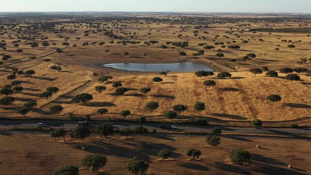 Beautiful footage of a majestic sobreiro (cork oak tree) set against the vast, rolling landscape of Alentejo, Portugal.