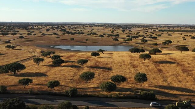 Beautiful footage of a majestic sobreiro (cork oak tree) set against the vast, rolling landscape of Alentejo, Portugal.