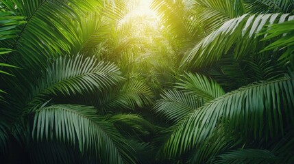 Fototapeta premium Lush greenery embraces sunlight in tropical forest close-up view nature
