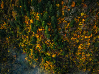 Aerial view of beautiful autumn forest landscape in the sunrise